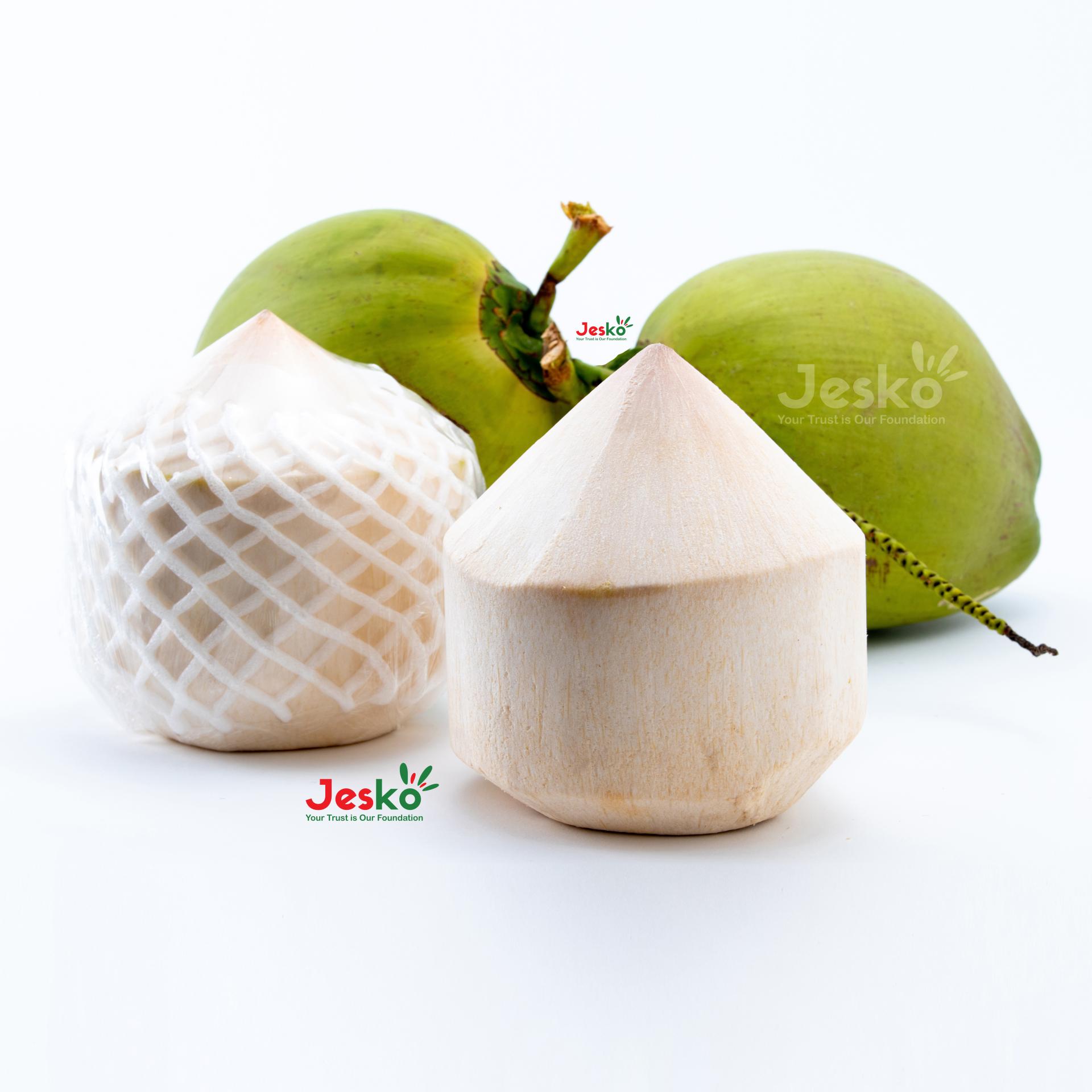 www.TheJesko.com