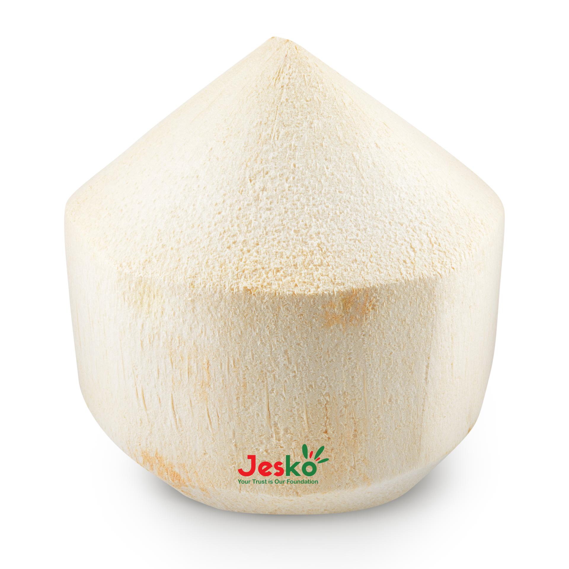 www.TheJesko.com