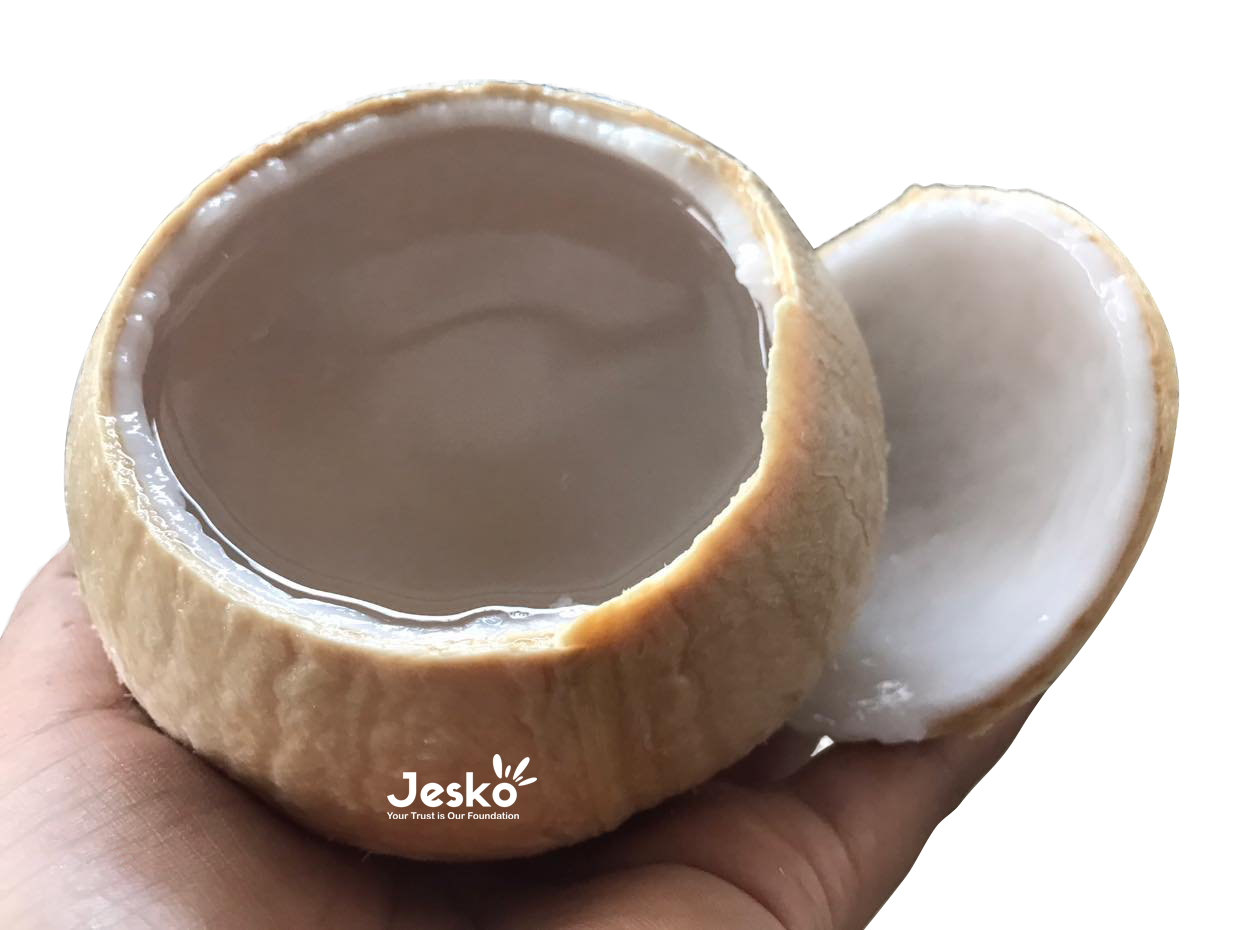 www.TheJesko.com