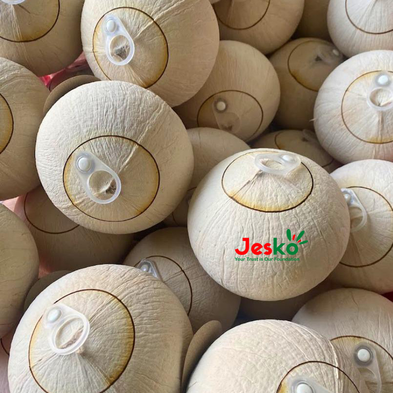 www.TheJesko.com