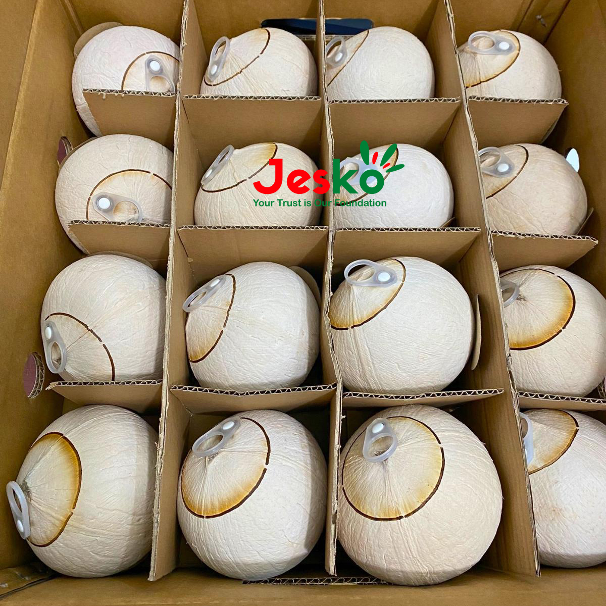 www.TheJesko.com