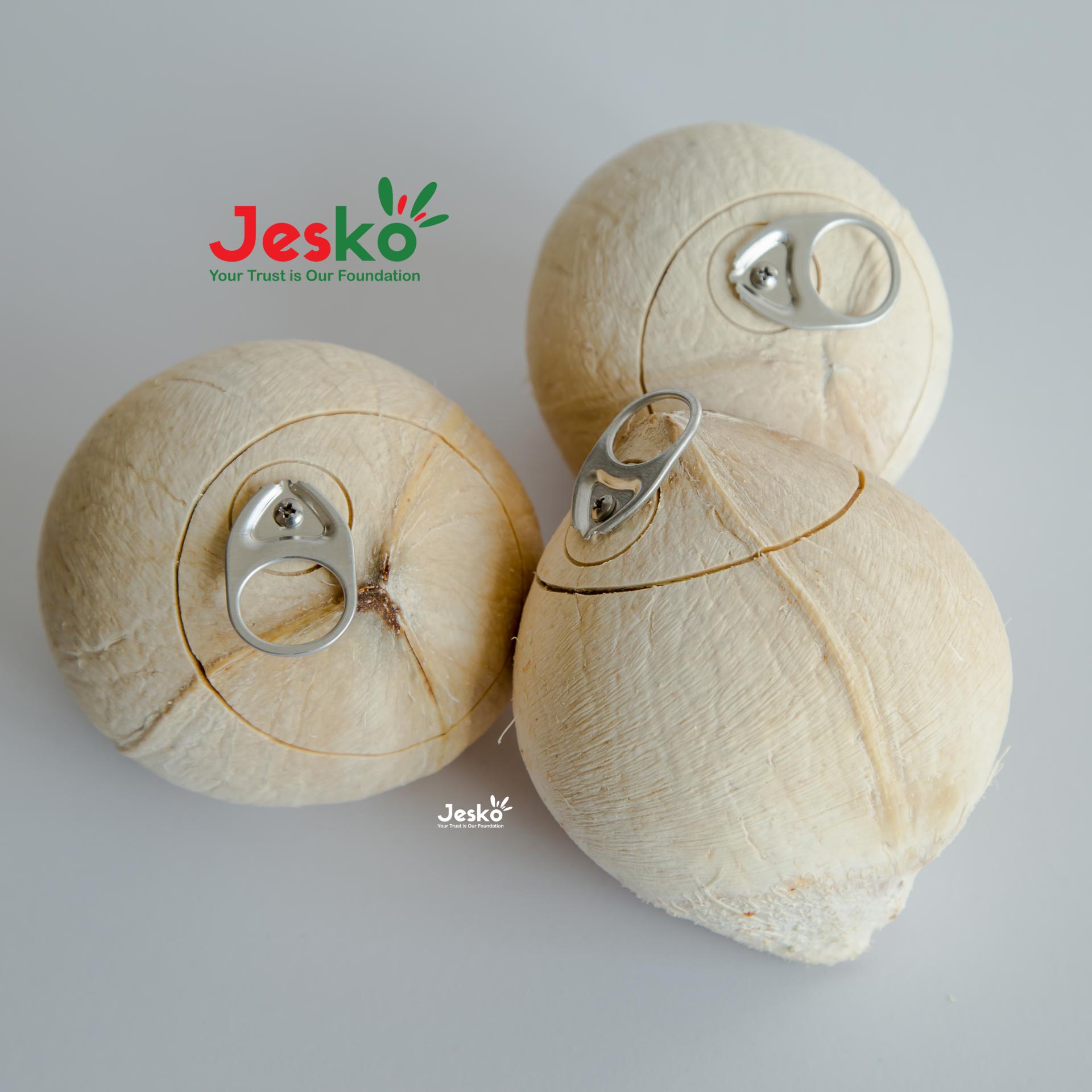 www.TheJesko.com