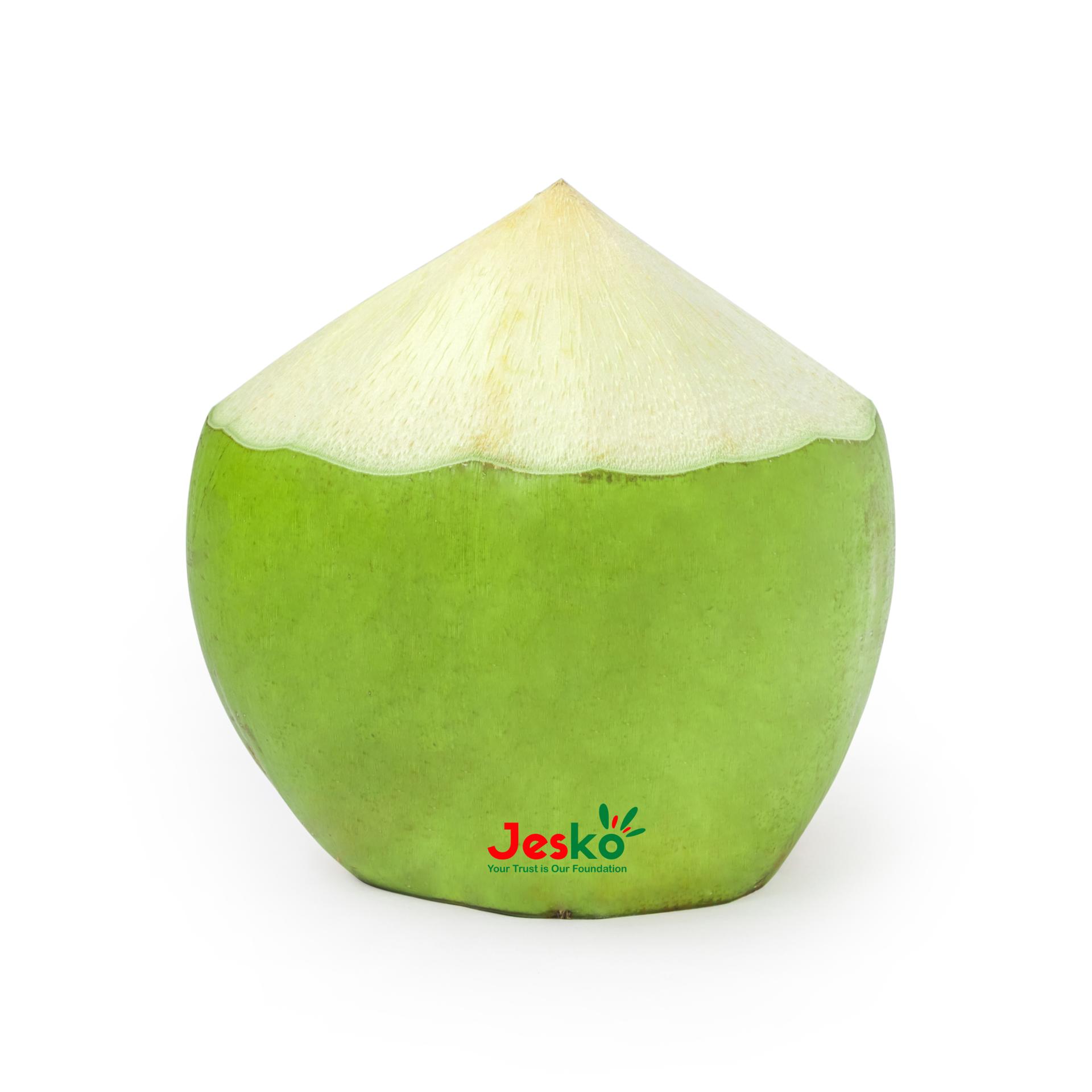 www.TheJesko.com