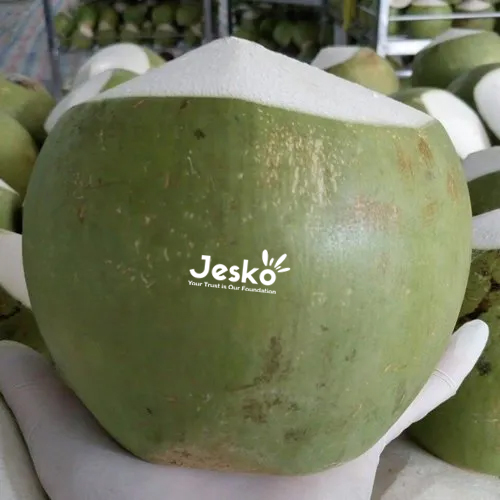 www.TheJesko.com