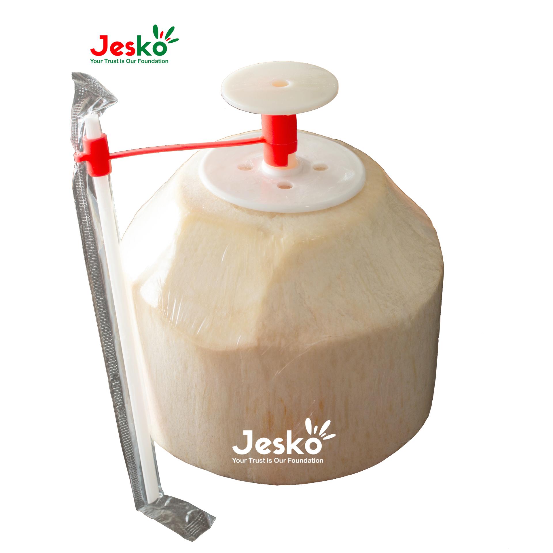 www.TheJesko.com