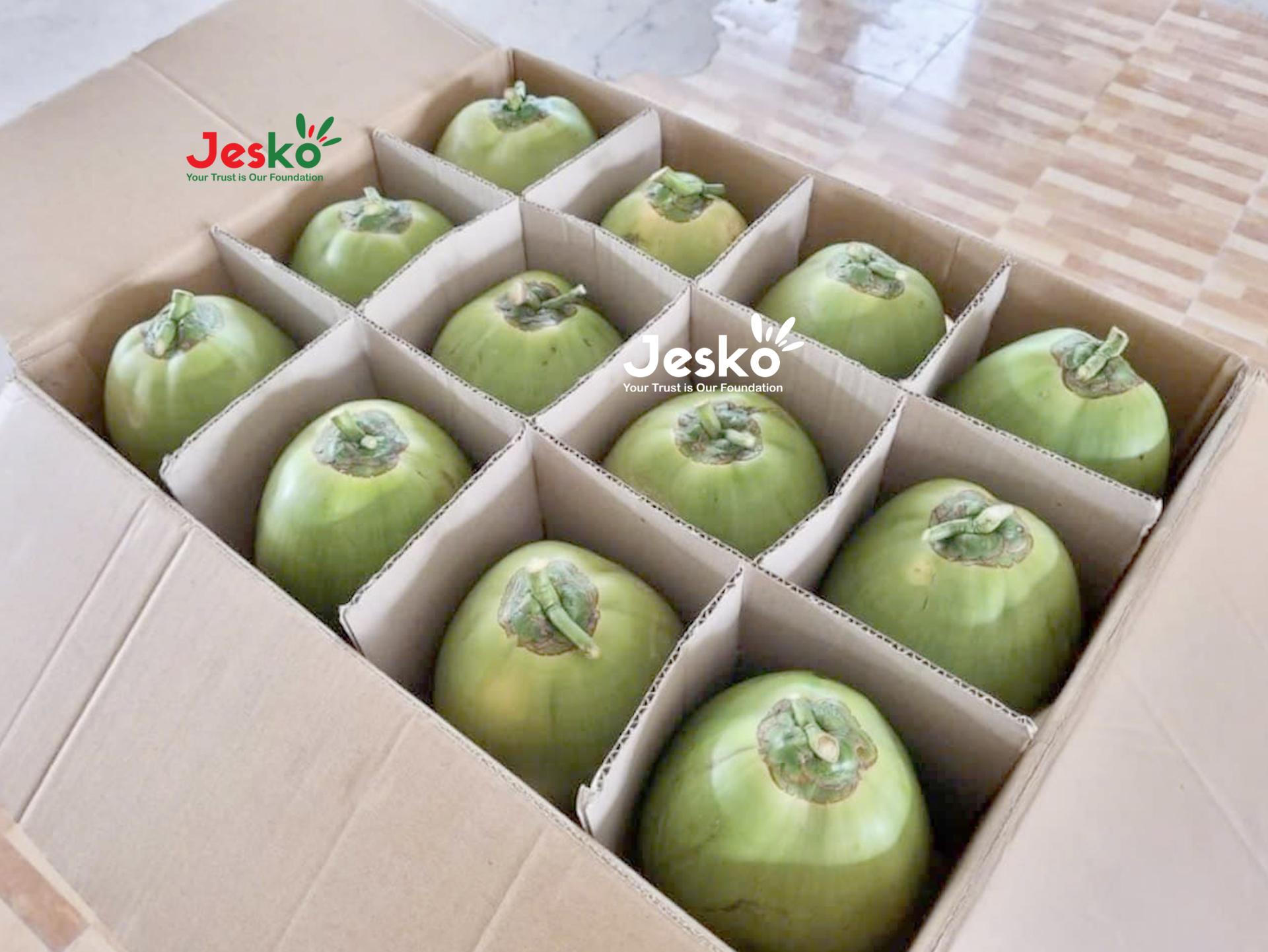 www.TheJesko.com
