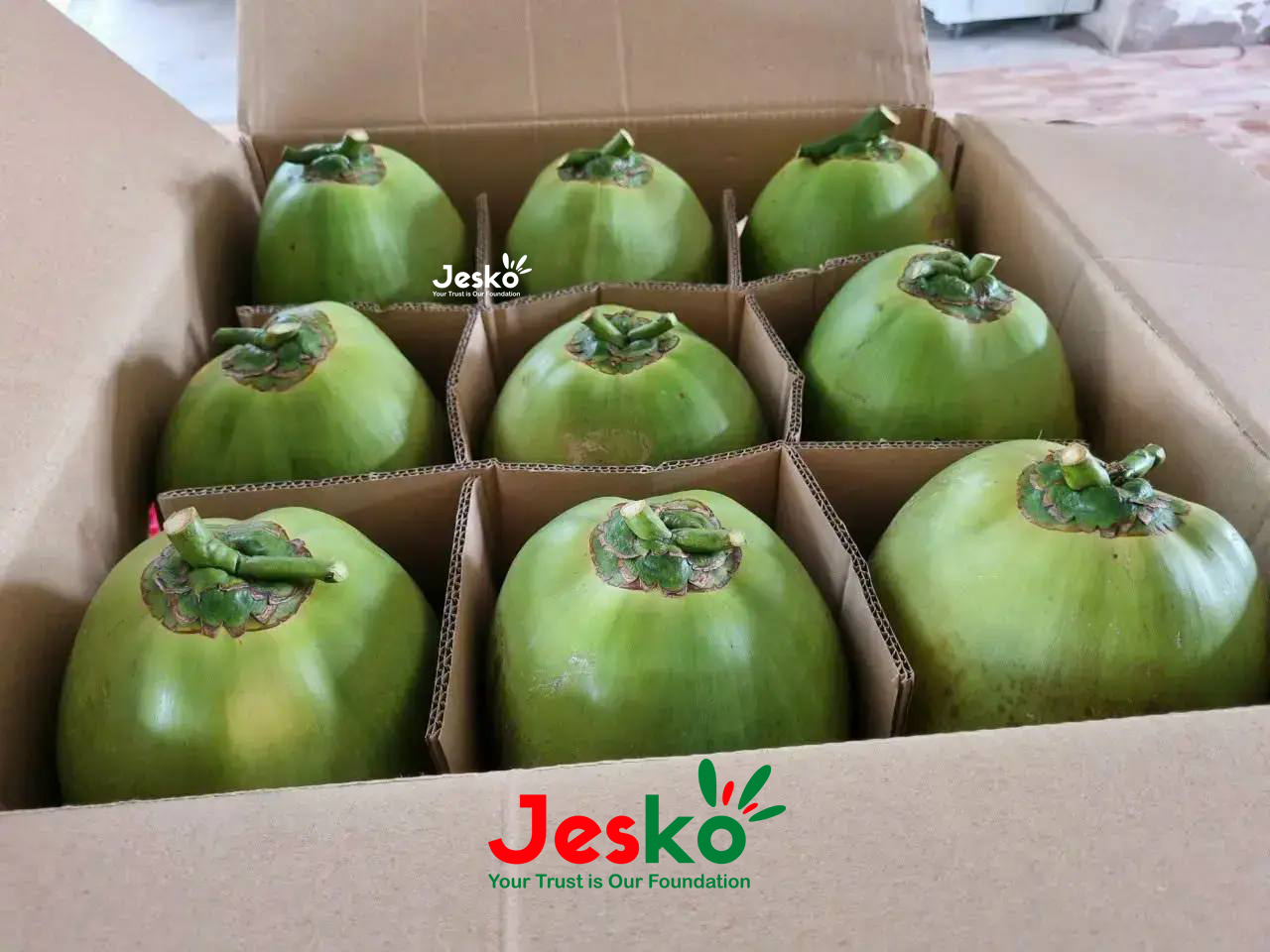 www.TheJesko.com
