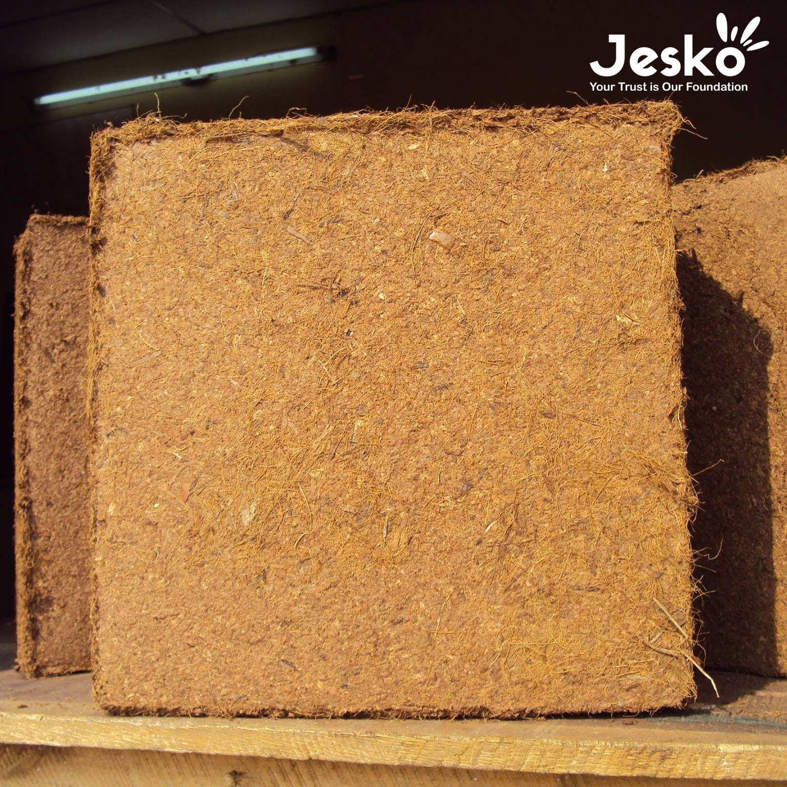 www.TheJesko.com