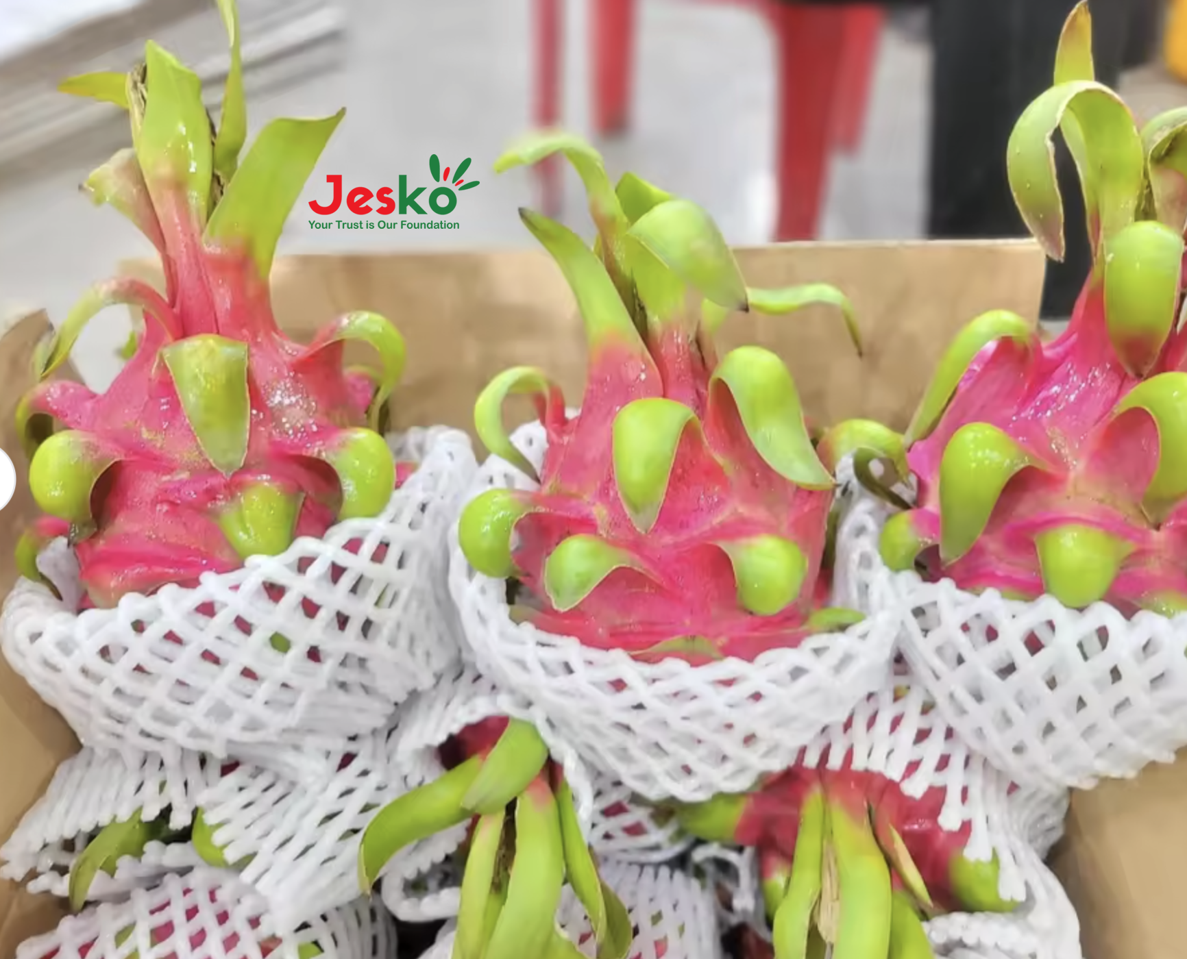 www.TheJesko.com