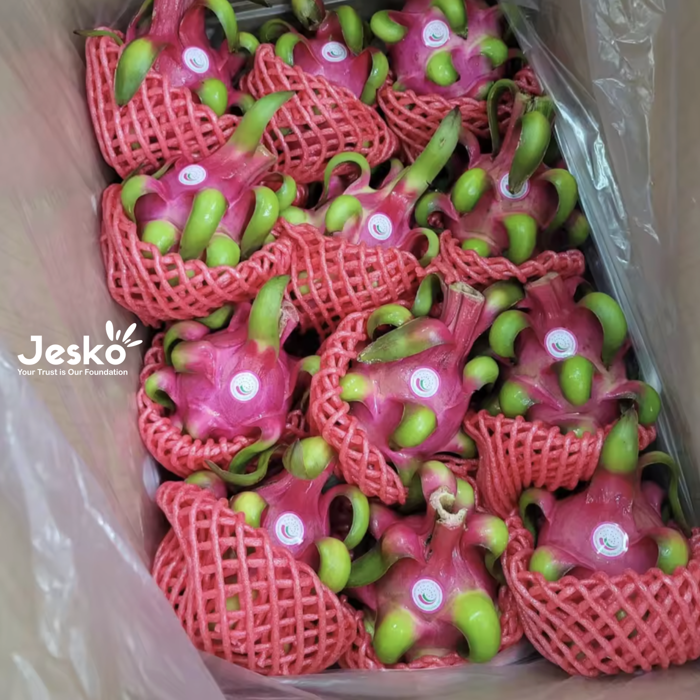www.TheJesko.com