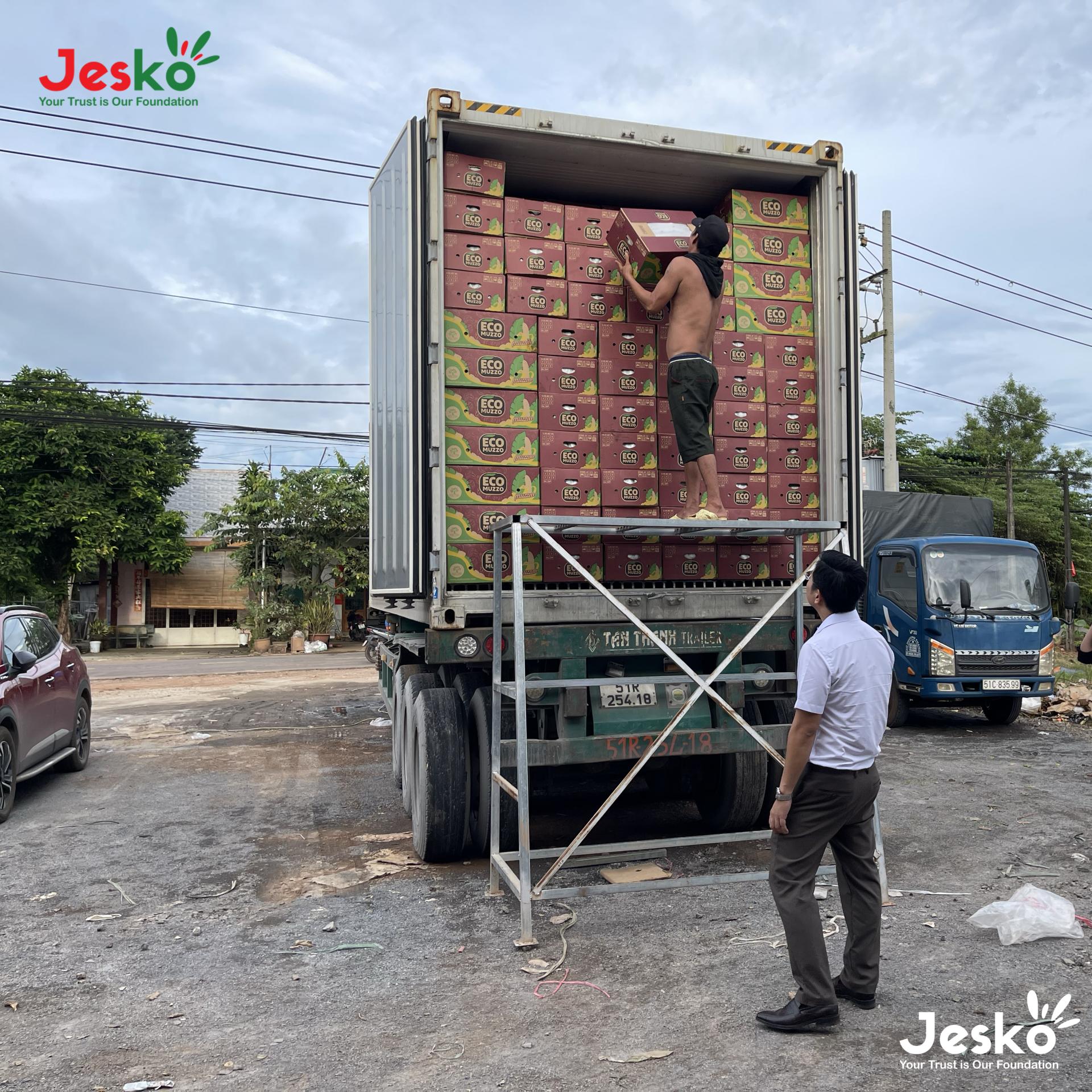 www.TheJesko.com