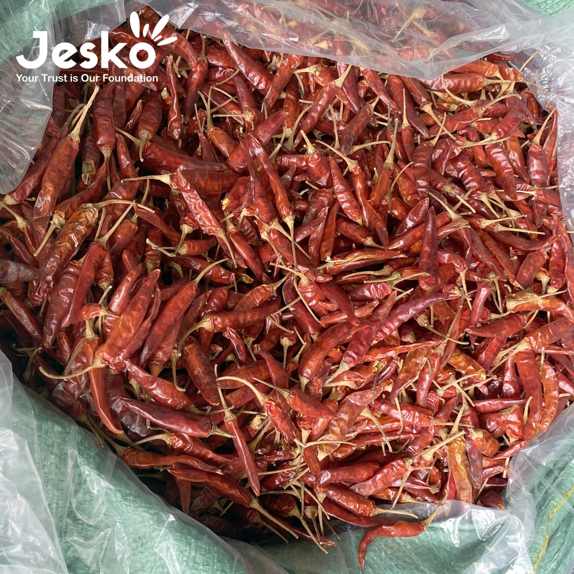 www.TheJesko.com