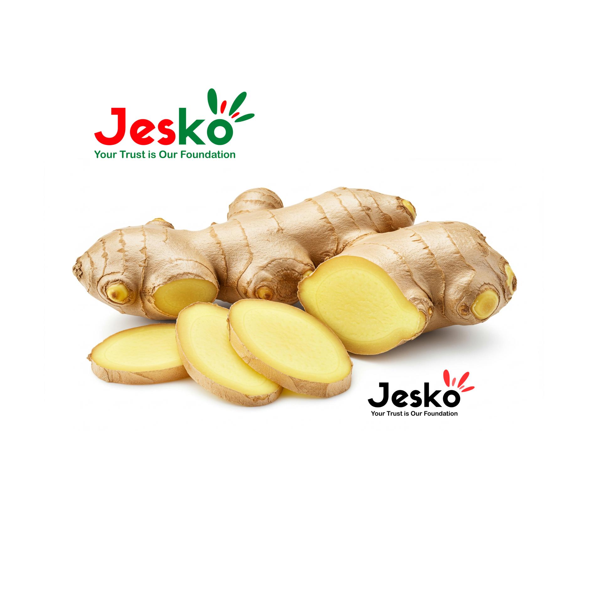 www.TheJesko.com