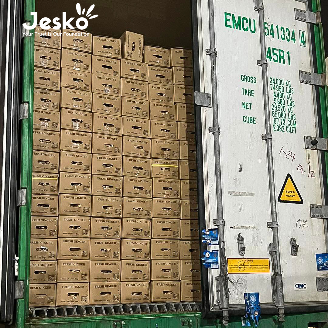 www.TheJesko.com