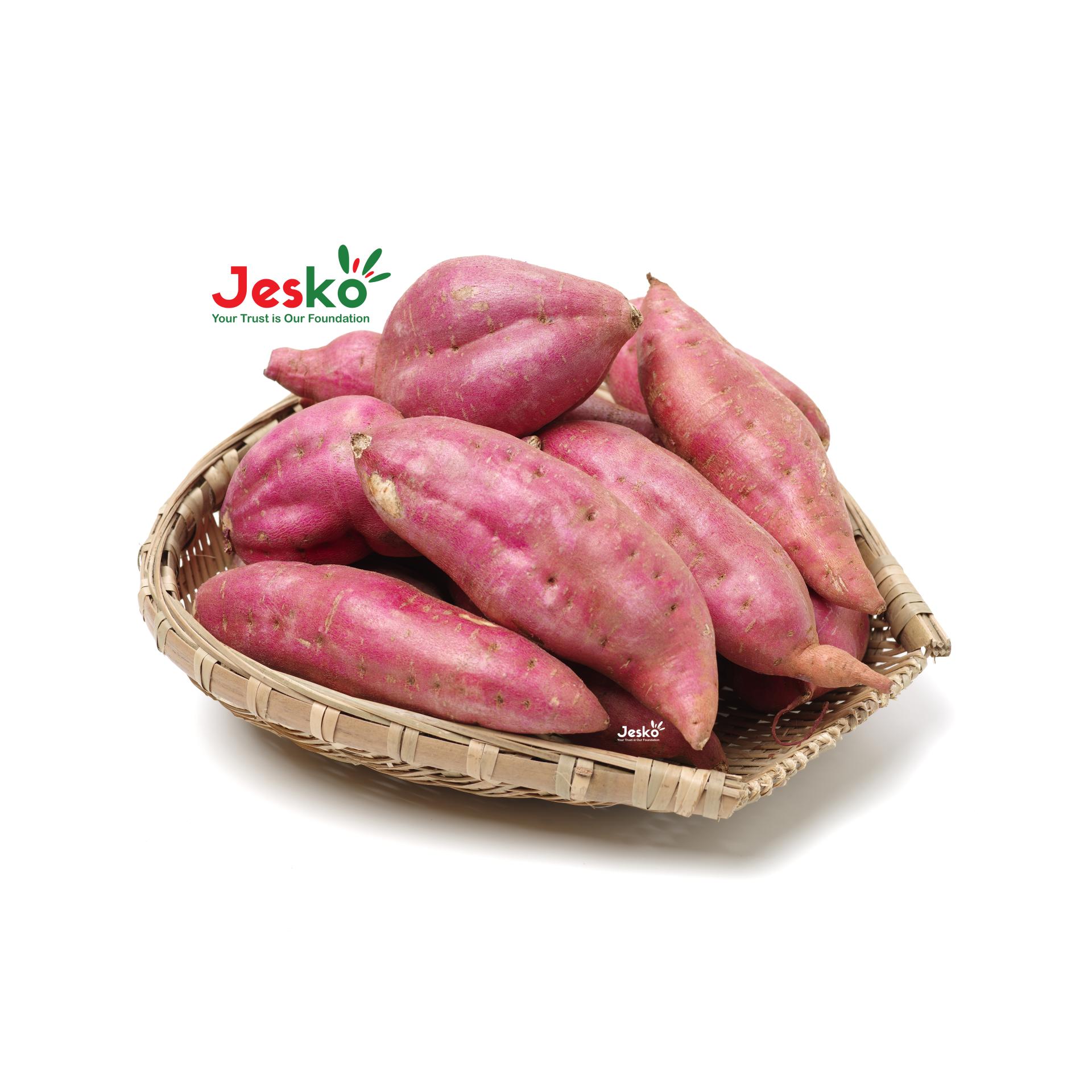 www.TheJesko.com