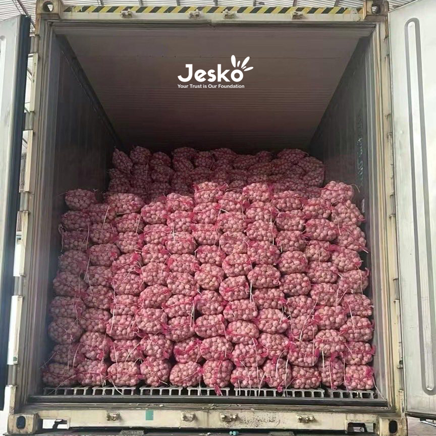 www.TheJesko.com
