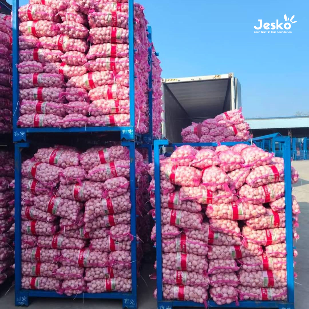 www.TheJesko.com